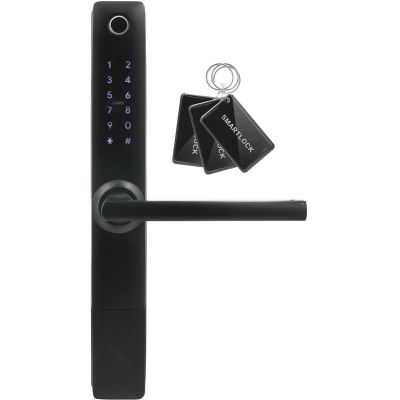Türgriff mit Zutrittskontrollsystem EURA ELH-20H4 Schwarz
