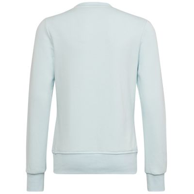 2. Adidas Big Logo Swt Jr HM8707 Sweatshirt