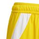 10. adidas Tiro 24 Jr IT2410 Shorts