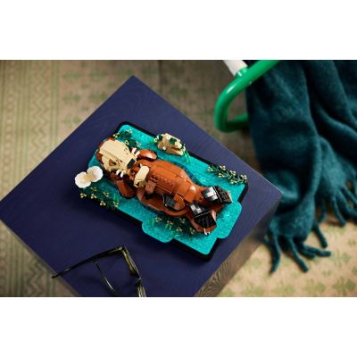 15. LEGO Ideas 21366 – Schwimmende Otter