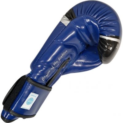 3. MASTERS RPU-FT Boxhandschuhe (WAKO-GENEHMIGT)