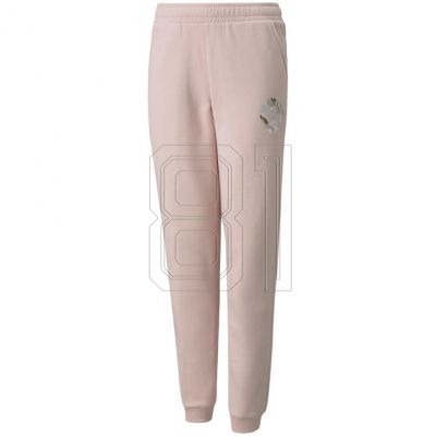 Puma Alpha Sweatpants FL Jr. 589235 36