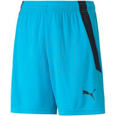 Puma teamLIGA Shorts Jr 704931 40