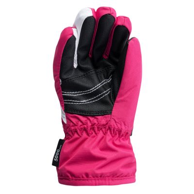 4. Brugi 3ZCF Jr Skihandschuhe 92800463874