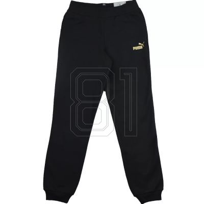 4. Puma Essential Jogginghose FL G Jr 846133 51
