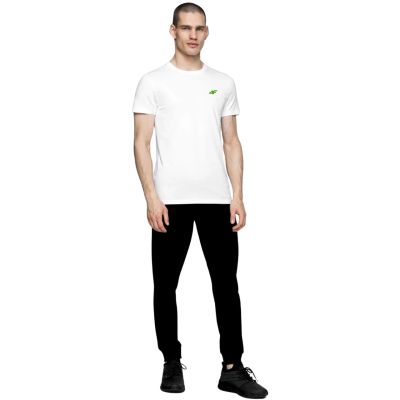 12. T-Shirts 4F M 4FWSS25TTSHM3965-93S
