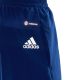12. adidas Run It M HL3967 Shorts