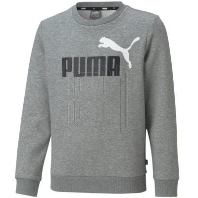Puma ESS+ 2 Col Big Logo Crew FL Jr Sweatshirt 586986 03