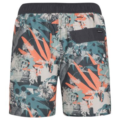 3. Protest PRTARYF Strandshorts (P2710621/672)