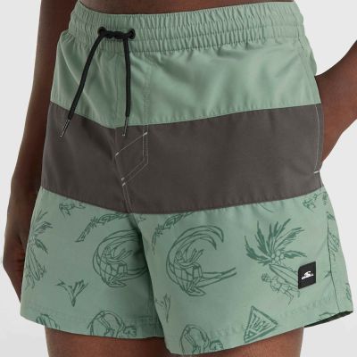 5. O'Neill Mix&Match Cali Block Badeshorts 15'' M 92800613820