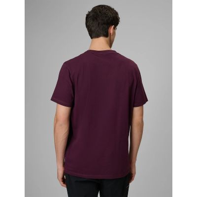 2. Herren-T-Shirt mit Aufdruck, regulär, Größe 4F 4FRSS26TTSHM3810-50S