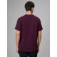 2. Herren-T-Shirt mit Aufdruck, regulär, Größe 4F 4FRSS26TTSHM3810-50S