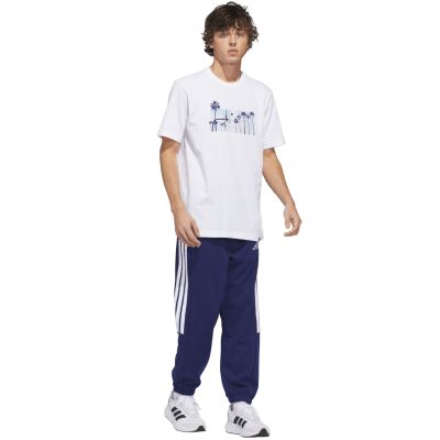 6. adidas Herren-T-Shirt Summer Sunset Graphic, weiß, JZ7544