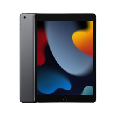 Apple iPad 10.2 Wi-Fi 256GB Space Grau