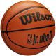 2. Wilson Jr NBA Fam Logo Basketball WZ3013001XB6