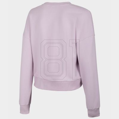 3. Sweatshirt 4F W H4L22-BLD023 52S