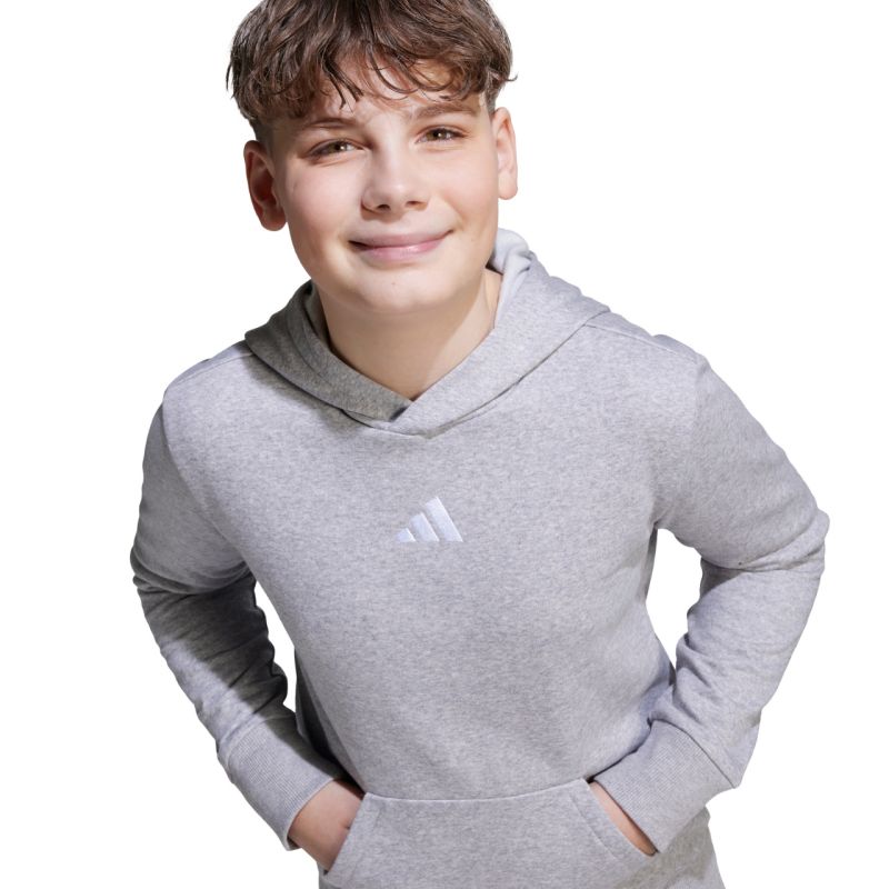 14. adidas Essentials Hoodie für Kinder, grau, JV9995