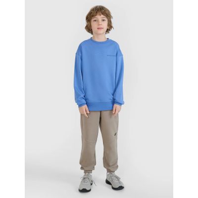 4. Jungen-Sweatshirt ohne Kapuze, ohne Reißverschluss 4F 4FJWSS25TSWSM1713-34S