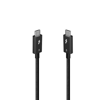 6. Lindy 31130 Thunderbolt-Kabel 1 m 80 Gbit/s Schwarz