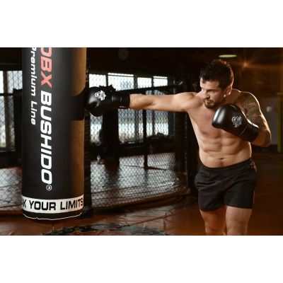 13. 10oz Boxhandschuhe - Eclipse - Origin Series