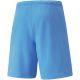 2. Puma teamRise Short Team M 704942 18 Shorts