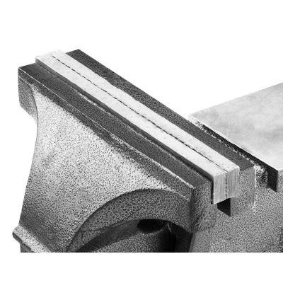 2. Topex 07A220 Schraubstock