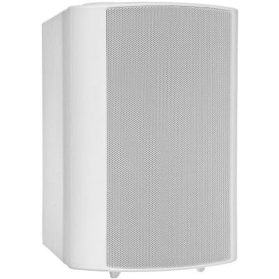 HQM-NZPZ3025W 30W Wandlautsprecher