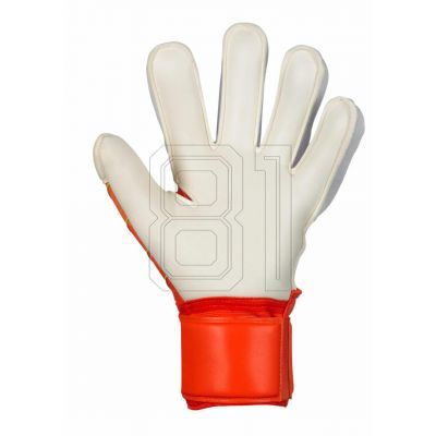 5. Select 34 Protection v24 T26-18453 goalkeeper gloves