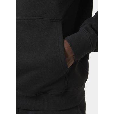 2. Helly Hansen Core Graphic Sweat Hoodie M 53924 993