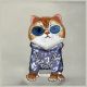 3. Nimmy Crossbody Glasses Cool Cat Umhängetasche - Grau