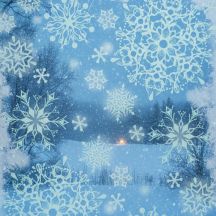 Fensteraufkleber 30x42 cm