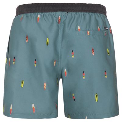 3. Herren-Badeshorts Protest PRTFIRDOWS Beachshorts