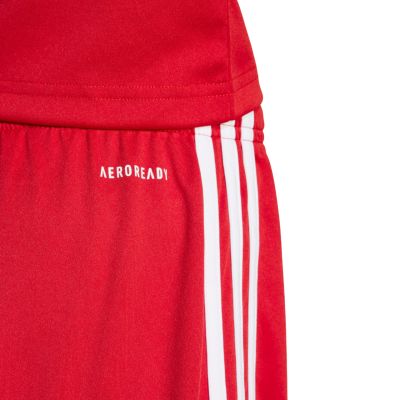 13. adidas Squadra 25 Jr Shorts JJ2416