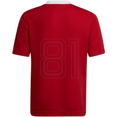 2. Adidas Entrada 22 Jsy Jr T-Shirt H57496