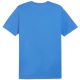 5. Puma Team Goal Casuals Poloshirt M 658605 02