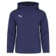 5. Puma Jr. Sweatshirt 655636 06