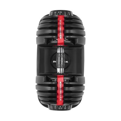 22. Bowflex Select Tech 552I verstellbare Hantel 