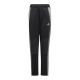 Adidas Tiro 24 Winterized Jr Pants IM9975