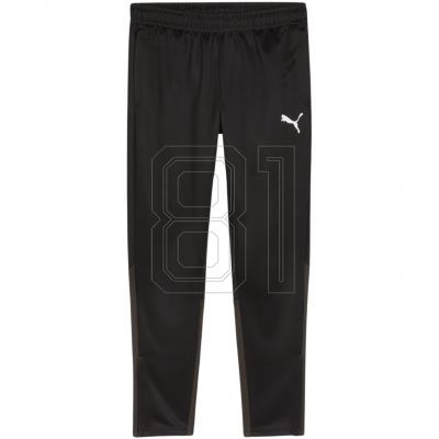 Puma Team Goal Training Pants M 658639 03