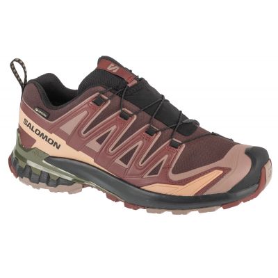 Salomon XA Pro 3D v9 GTX M L47583500 Laufschuhe