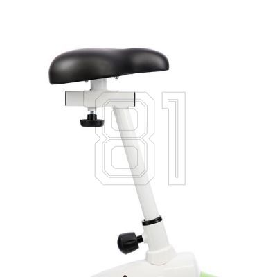 44. Magnetfahrrad weiß und grün HMS M9239* 