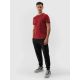 10. T-Shirts 4F M 4FWSS25TTSHM3956-96S