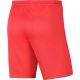5. Nike Dry Park III NB KM BV6855 635 Shorts