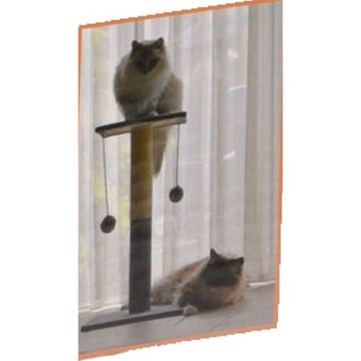 4. Kratzbaum für Katzen, 59 cm, 2 Bälle