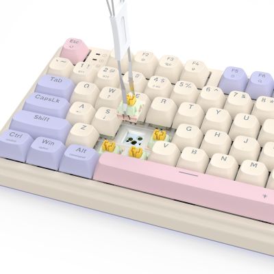 2. REDRAGON EISA 100 K768VI-WL Tastatur