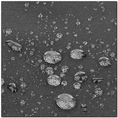 25. 30 kg Cordura HMS KTO30 Gewichtstrainingsweste