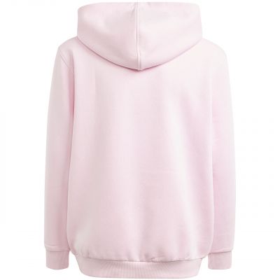 2. Adidas Allszn Gfx HD Jr Sweatshirt IN2844