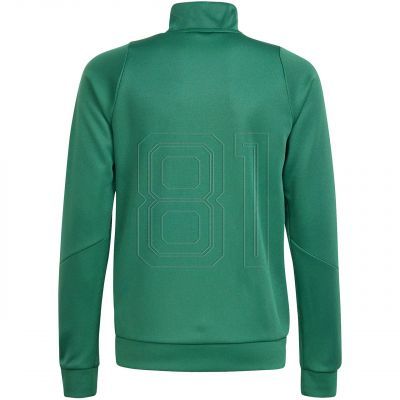 2. Adidas Tiro 24 Training Jr IR7503 sweatshirt