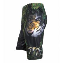 MFC Trainingsshorts - STM-TIGER