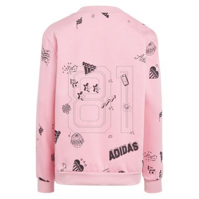 2. Adidas Bluv Q3 Sweat Jr IA1576 Sweatshirt
